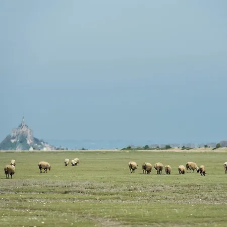 فندق De La Baie 2*