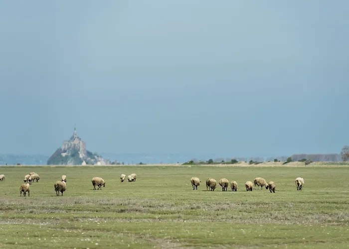 فندق De La Baie 2*